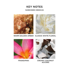 NEST New York Sunkissed Hibiscus shows amber-golden hue for warm glow