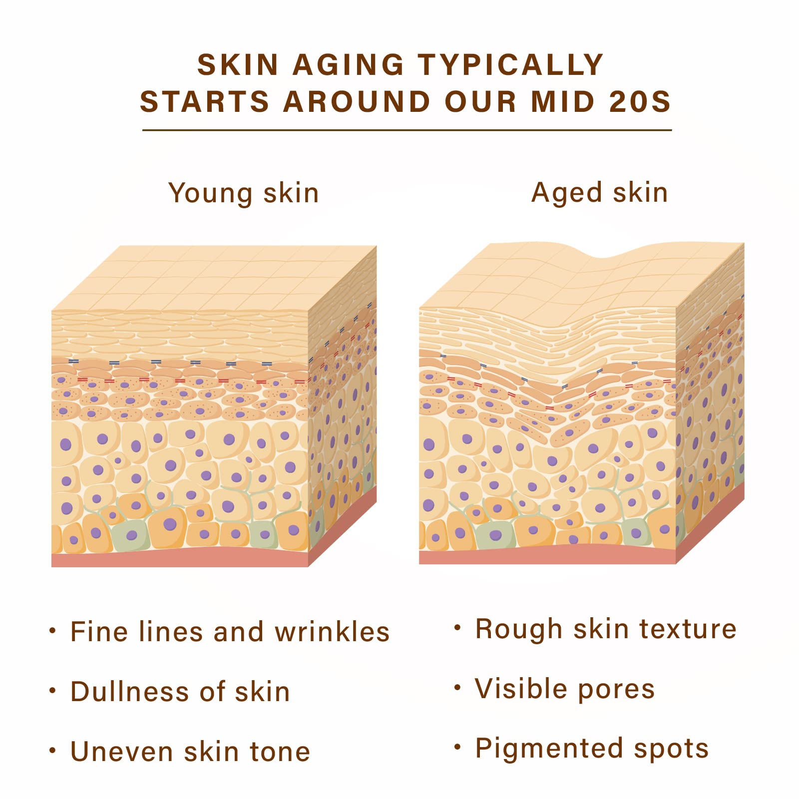New Angance hexapeptide action close-up suggests wrinkle-smoothing potential.