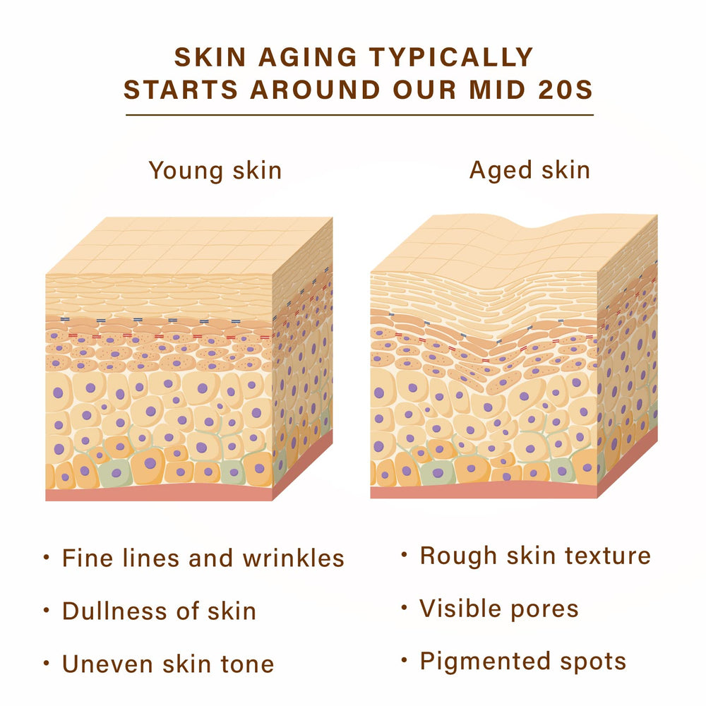 New Angance hexapeptide action close-up suggests wrinkle-smoothing potential.