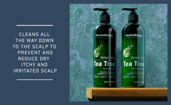 New York Biology Tea Tree Conditioner leaf closeup with natural ingredient emphasis