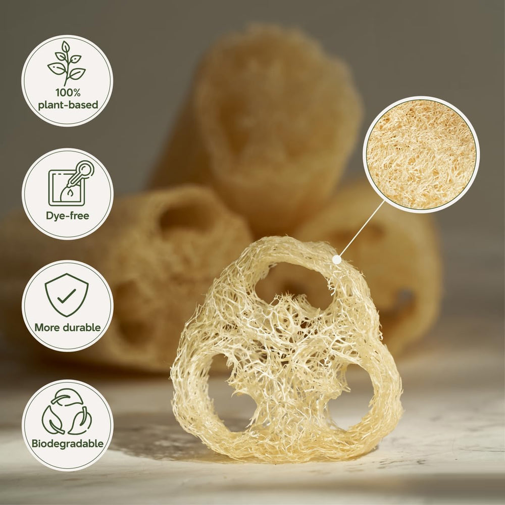 NileCart loofah packed from Egypt illustrating sustainable sourcing.