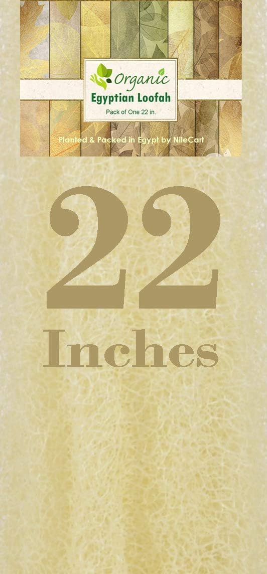 NileCart natural loofah porous texture ideal for rich lather.