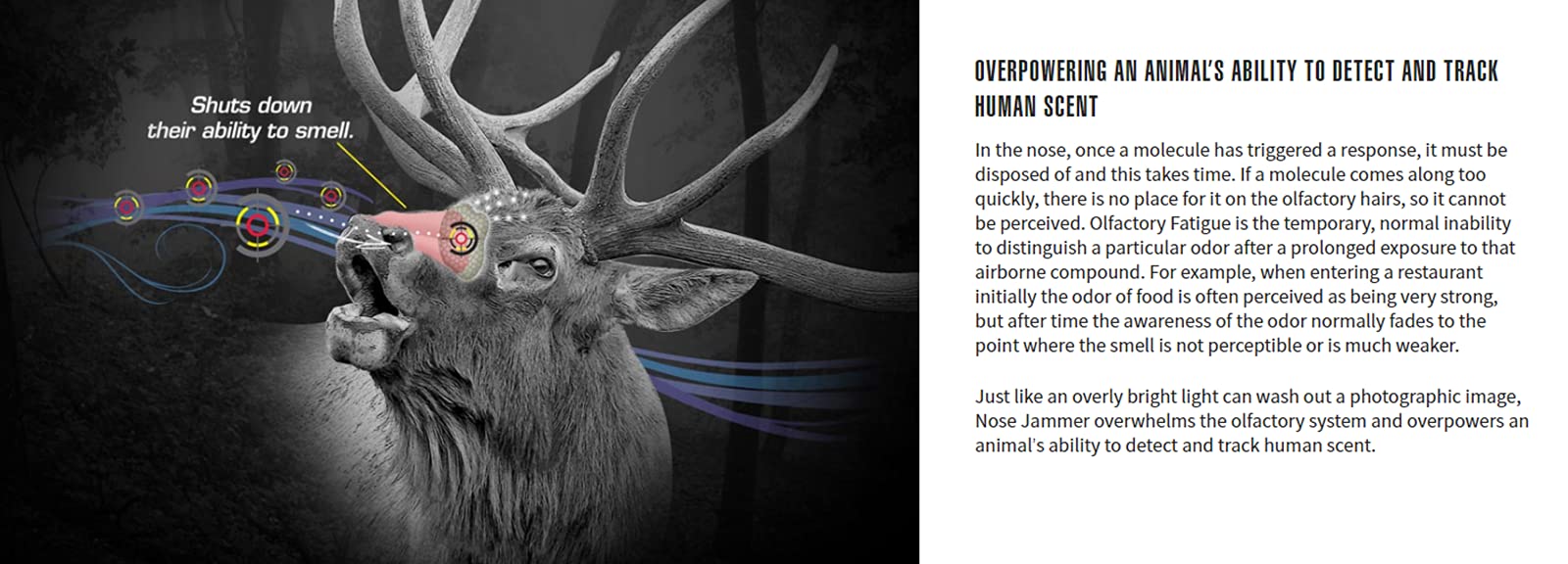 Nose Jammer label highlights aluminum-free and toxin-free daily-use formula.