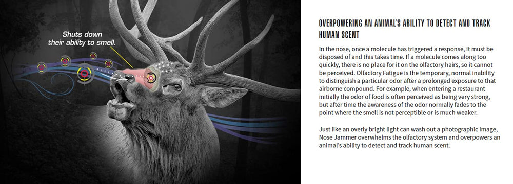 Nose Jammer label highlights aluminum-free and toxin-free daily-use formula.