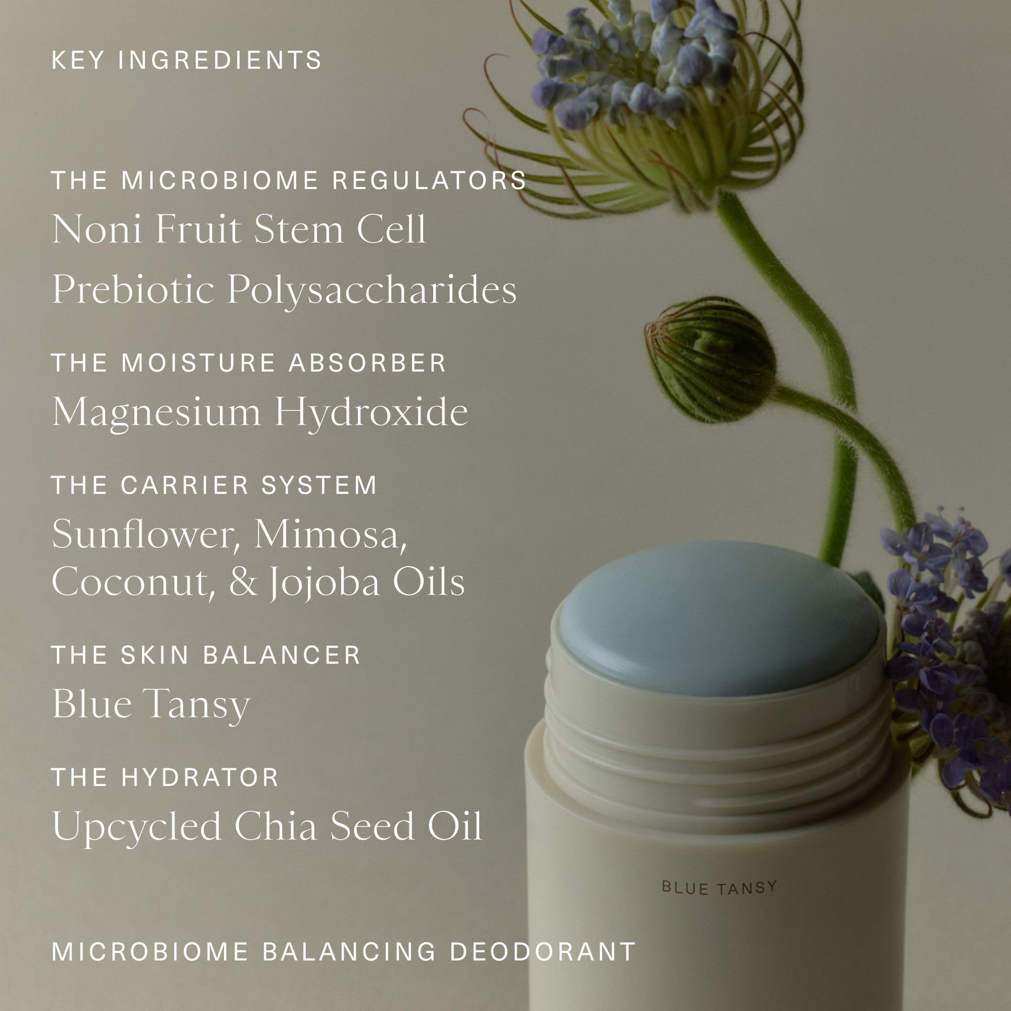 Oak Essentials blue tansy ingredient closeup communicates soothing, fragrance-free approach.