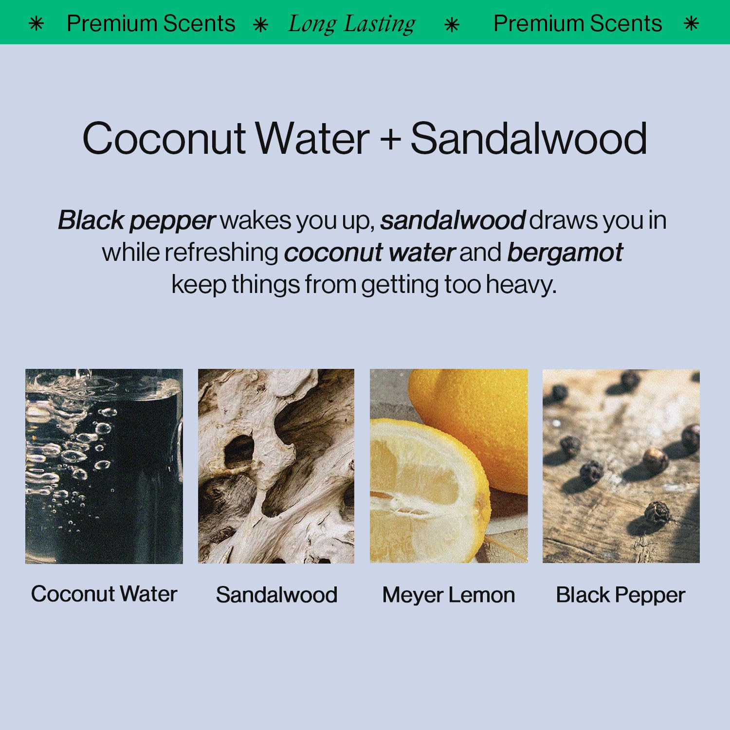 OffCourt coconut-sandalwood-fragrance provides bold tropical aroma for daily wear.