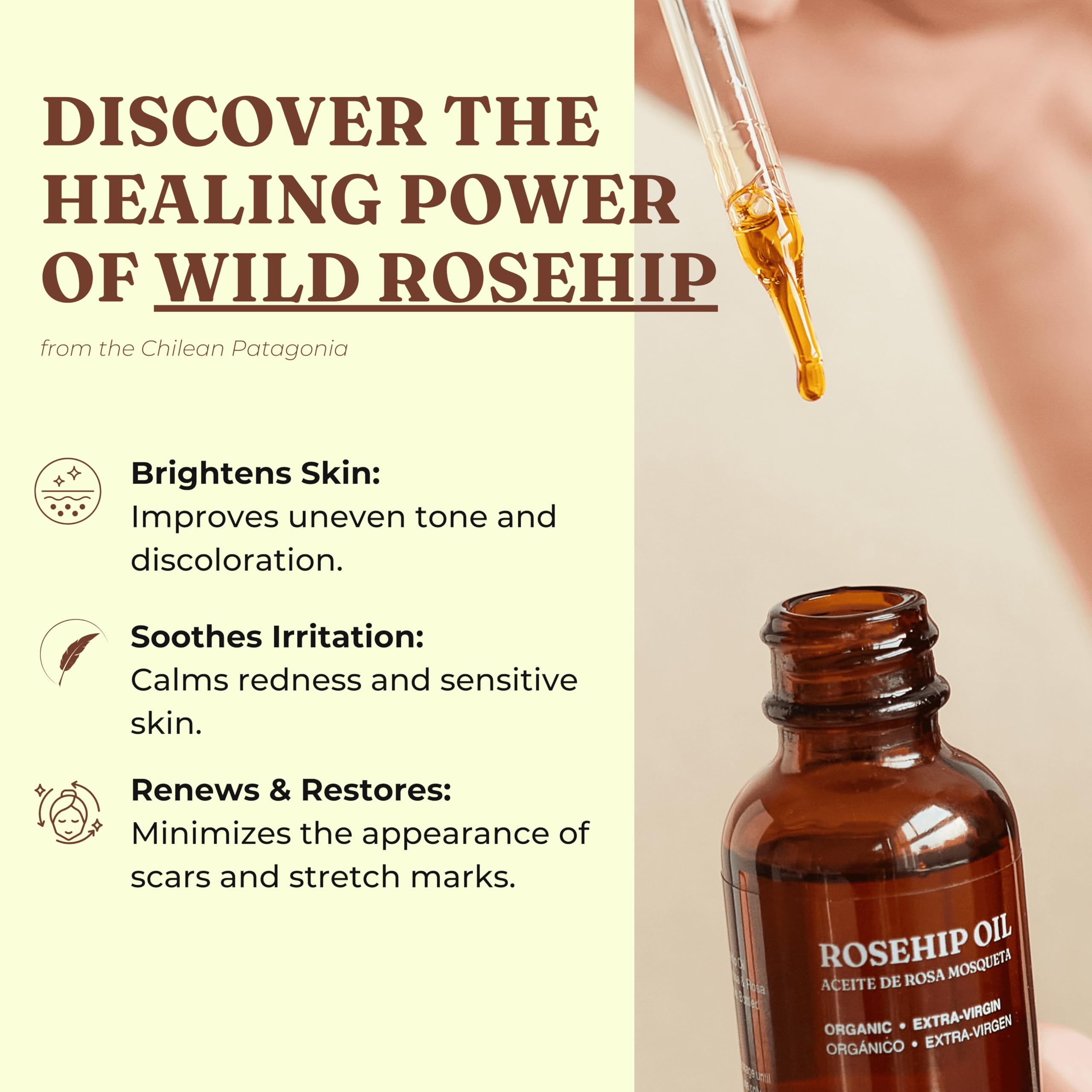 Offernova rosehip oil ingredients close-up with vitamins and fatty acids