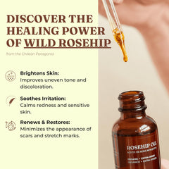Offernova rosehip oil ingredients close-up with vitamins and fatty acids