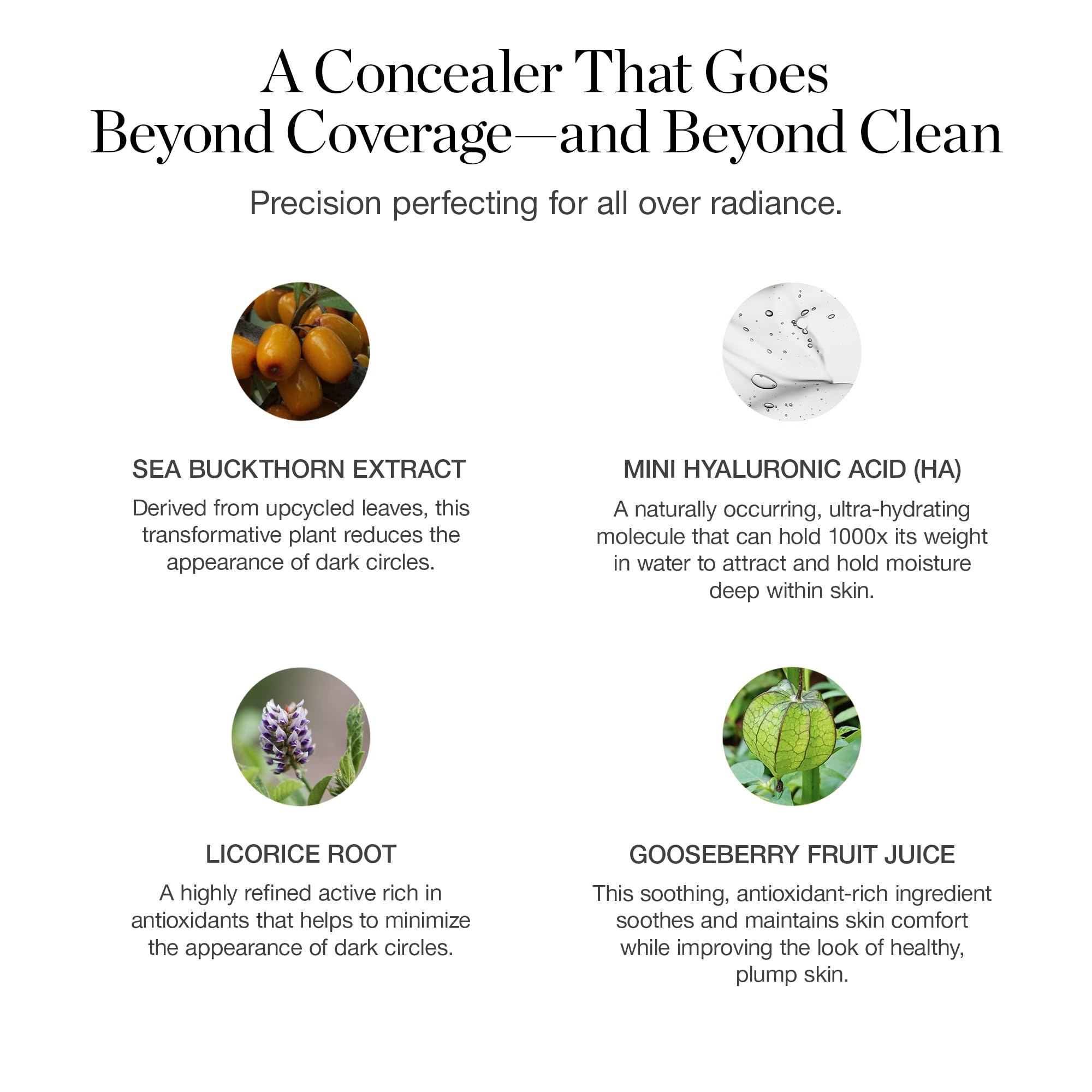 Ogee concealer with gooseberry fruit juice highlights botanical barrier benefits.