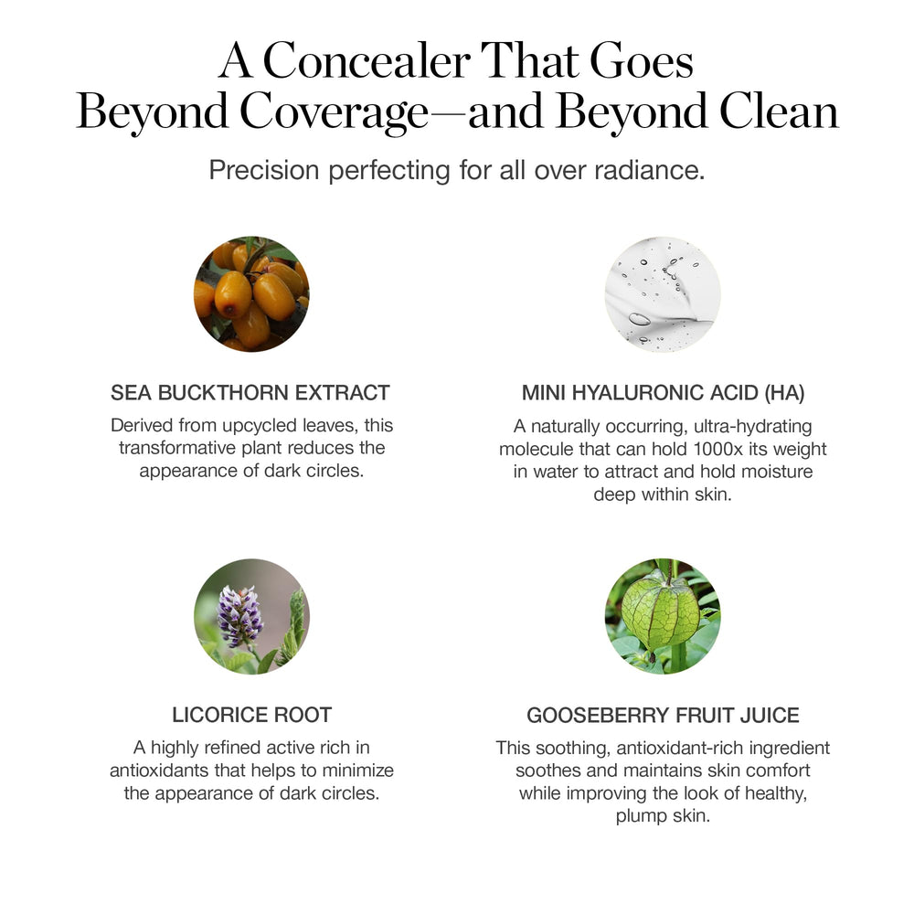 Ogee concealer with gooseberry fruit juice highlights botanical barrier benefits.