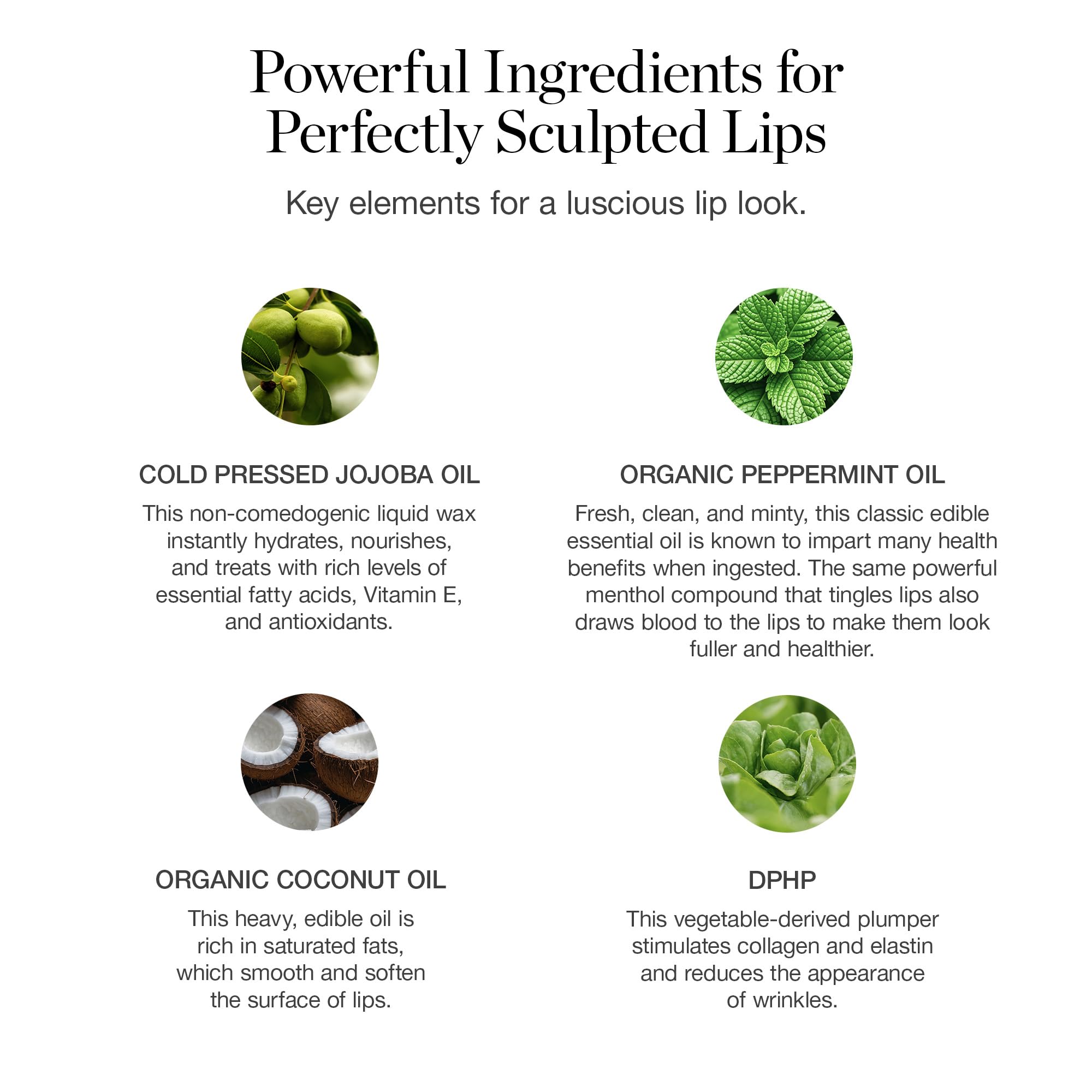 Ogee Dahlia organic oils ingredients highlight coconut and jojoba for smooth lips.