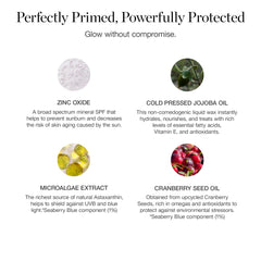 Ogee PROTECT Primer packaging box shown for everyday skincare and sun protection.