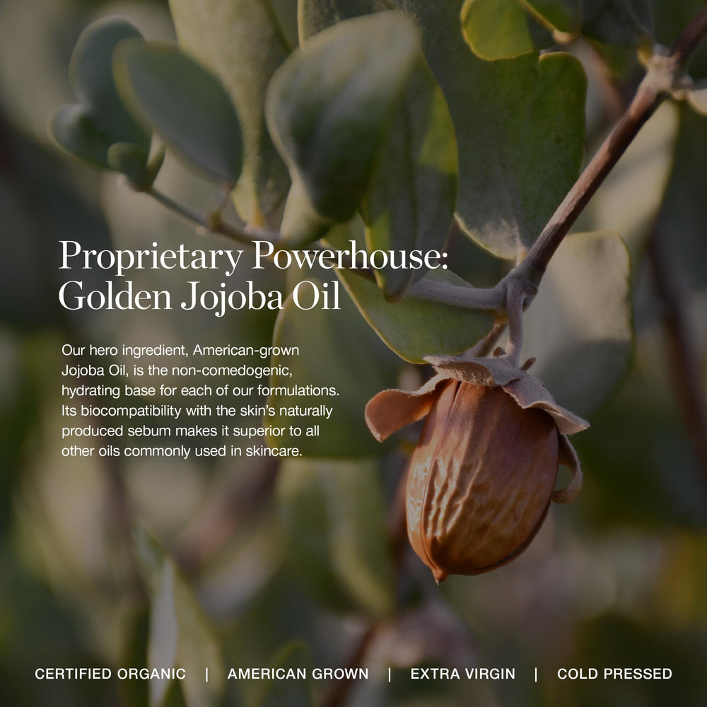 Ogee Willow 3.00C glide application captures weightless coverage for day-to-night wear