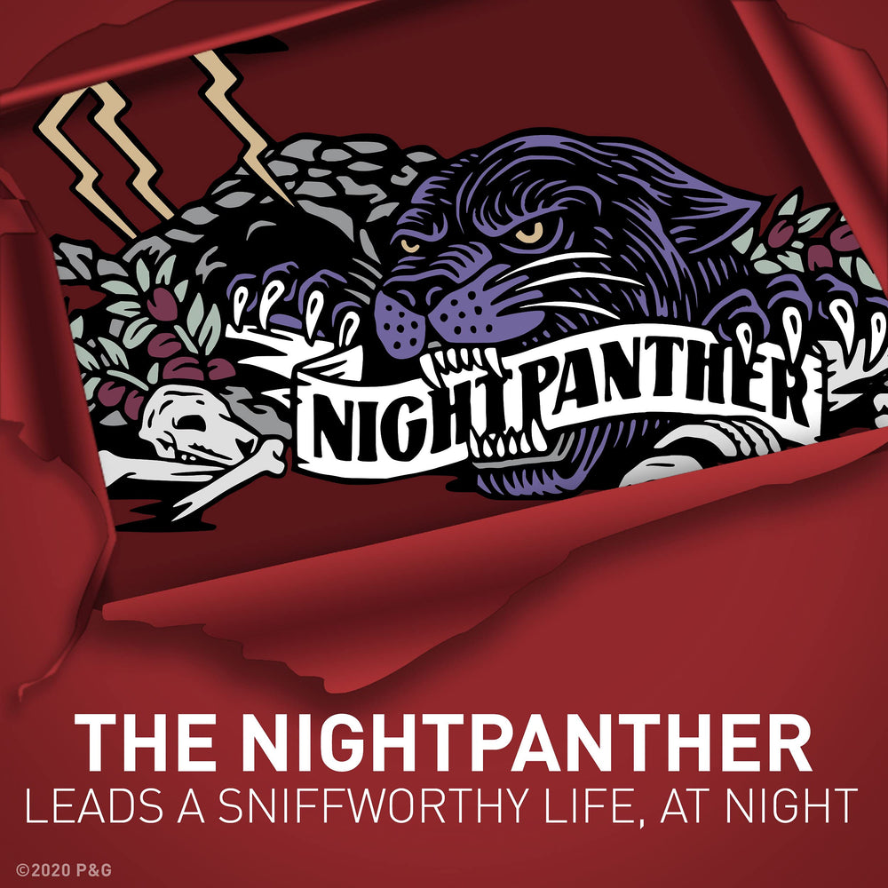Old Spice NightPanther long-lasting fragrance for daily confidence.