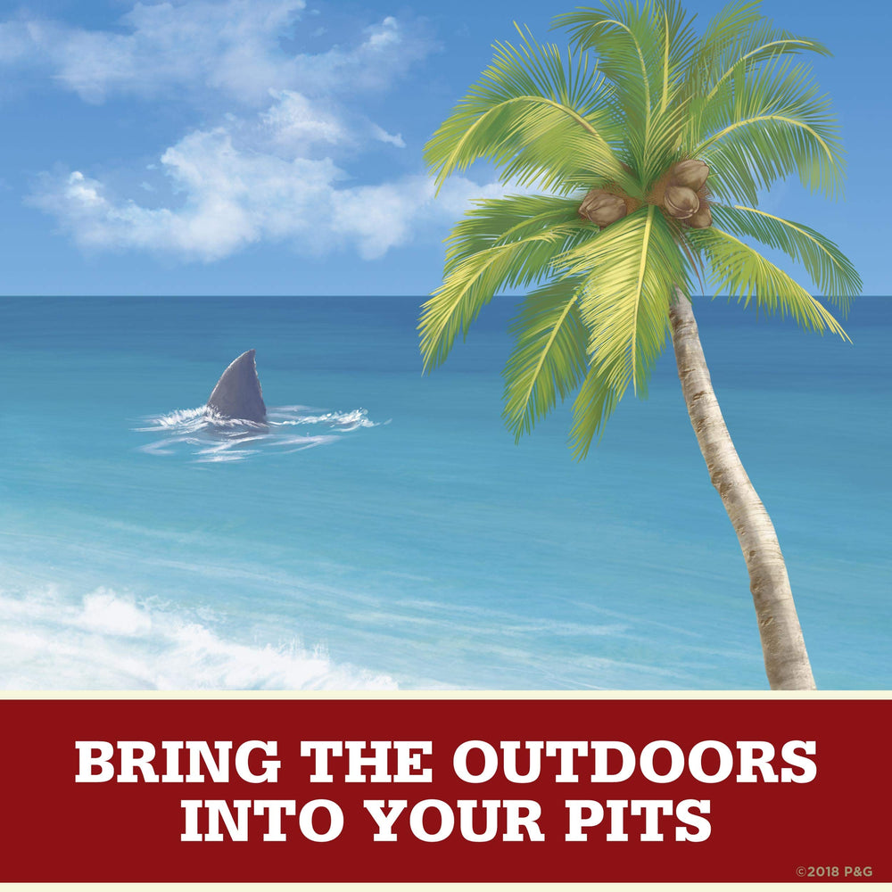 Old Spice Pack of 3 demonstrates value and travel-ready supply.