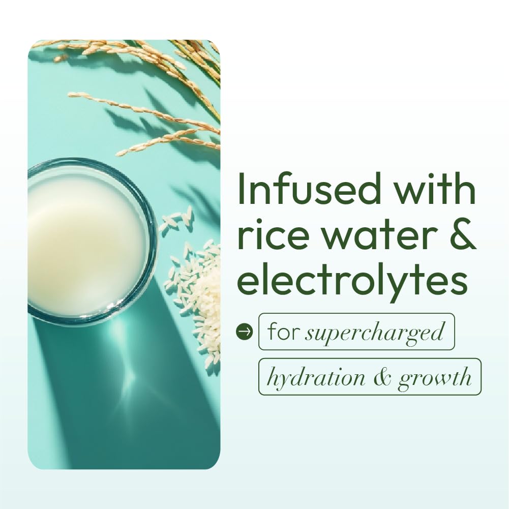 ORS Olive Oil Max Moisture ingredient panel showing olive oil and rice water for nourishment