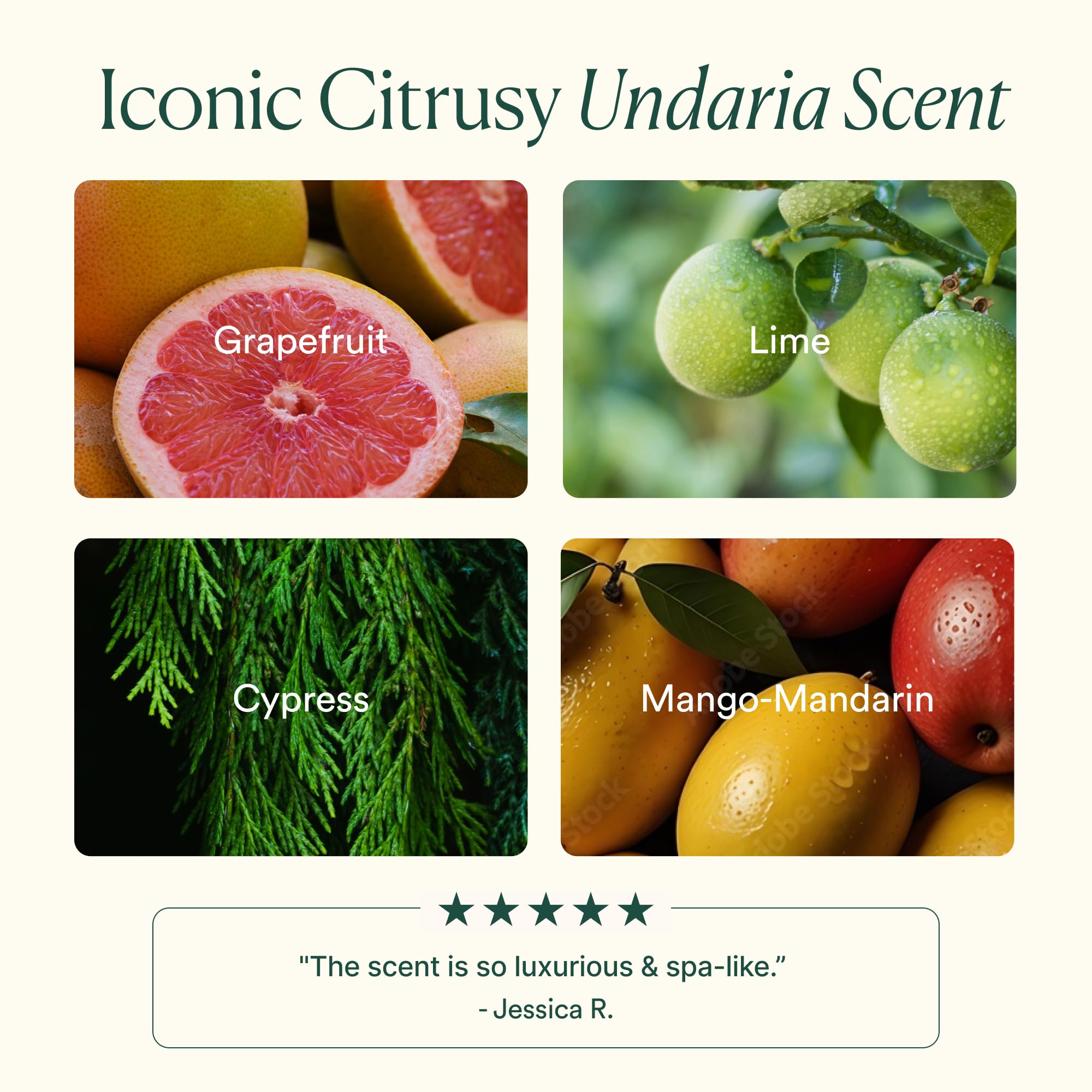 Undaria Algae Body Lotion with seaweed imagery emphasizes marine botanicals.