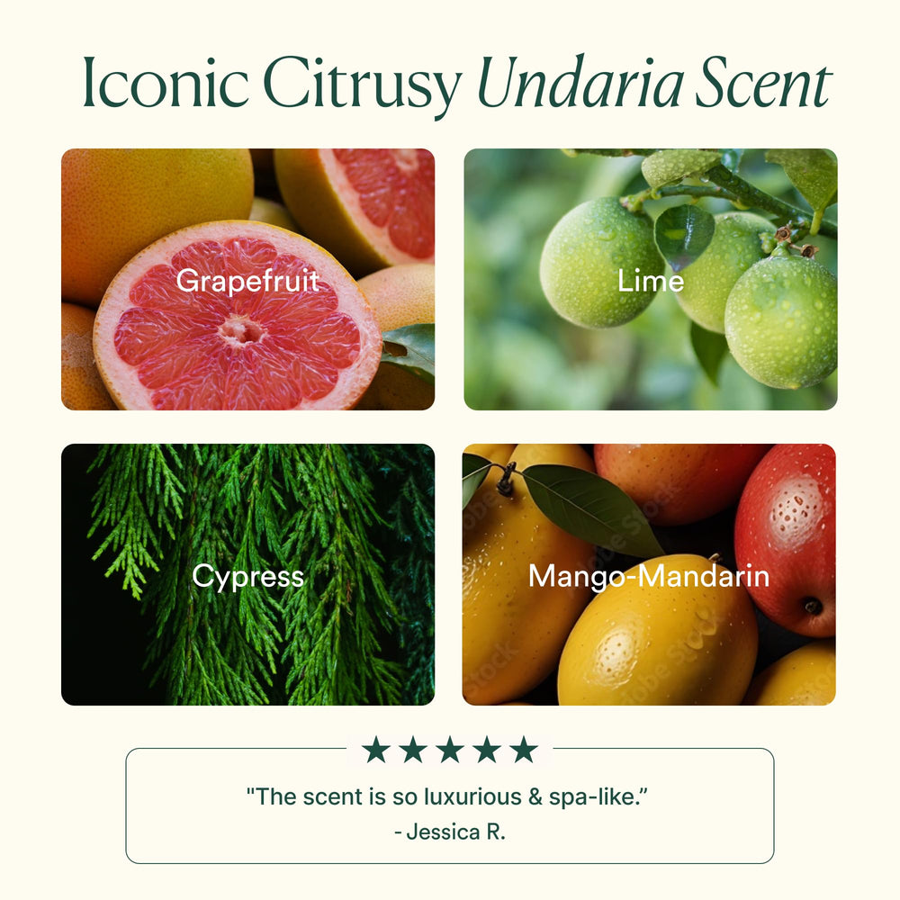 Undaria Algae Body Lotion with seaweed imagery emphasizes marine botanicals.