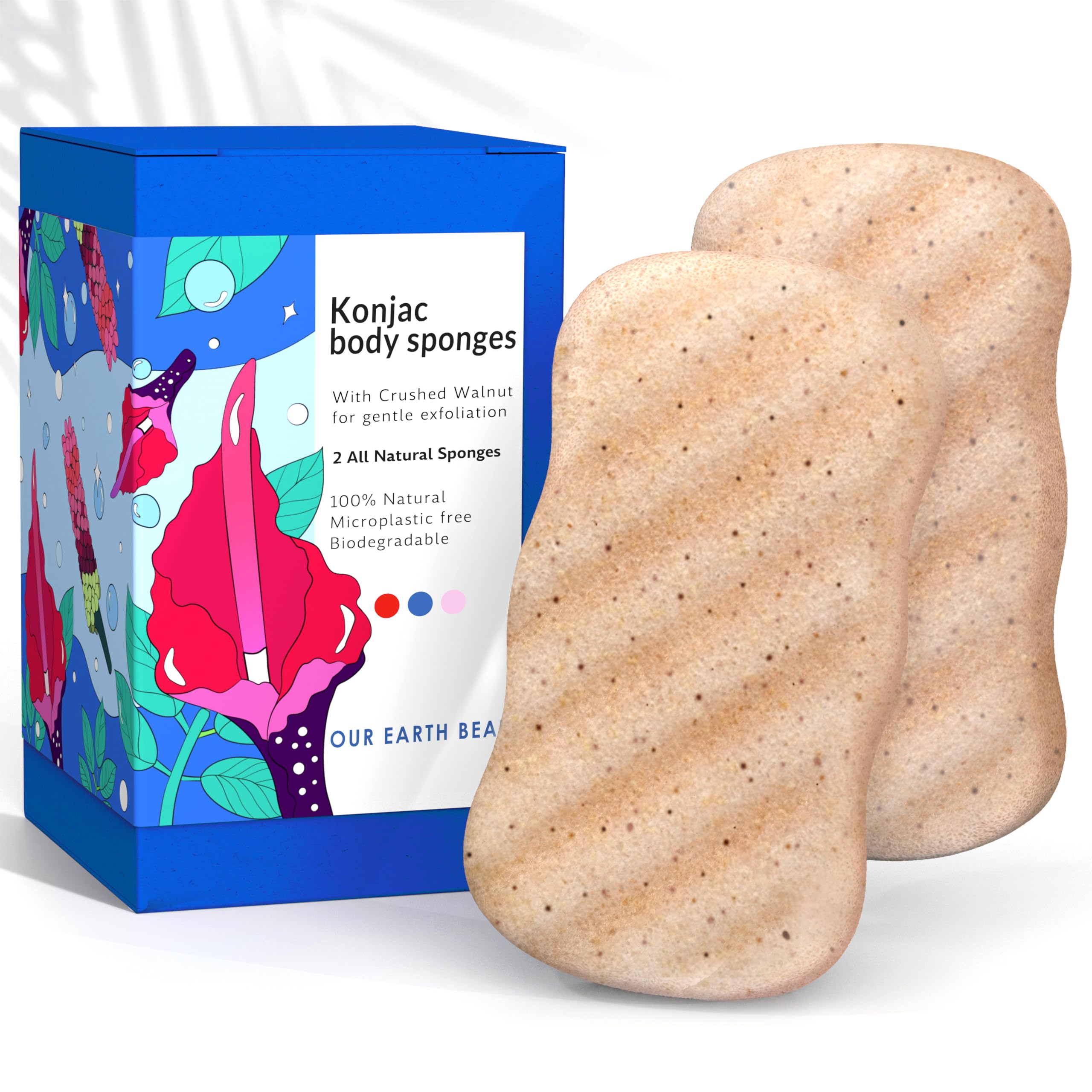 Our Earth Beauty Konjac Sponge Body 2 Pack for daily cleansing
