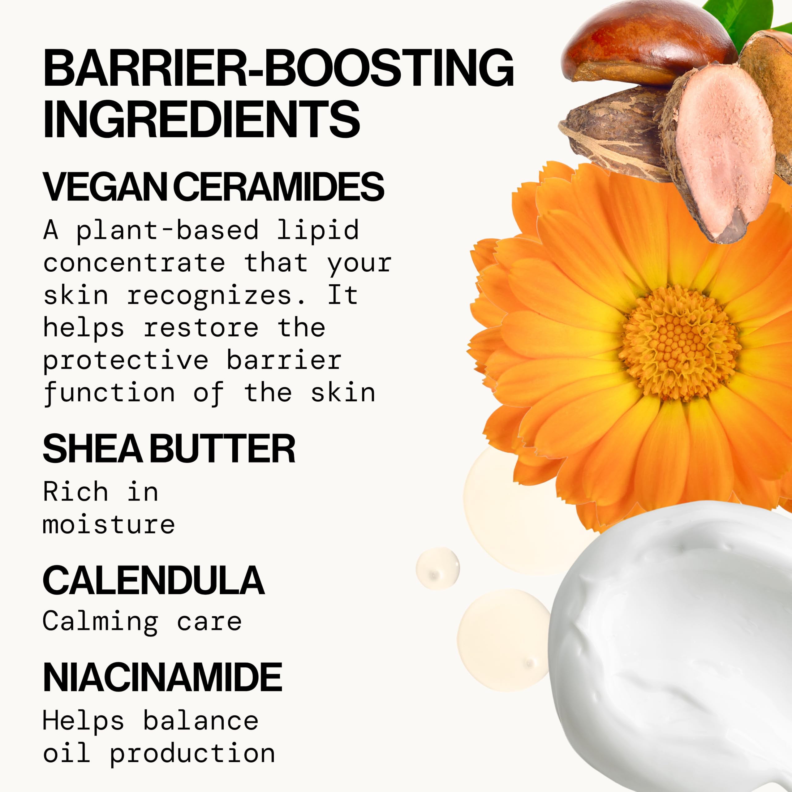 Pacifica barrier-cream vegan illustration explains plant ceramides for stronger moisture barrier.