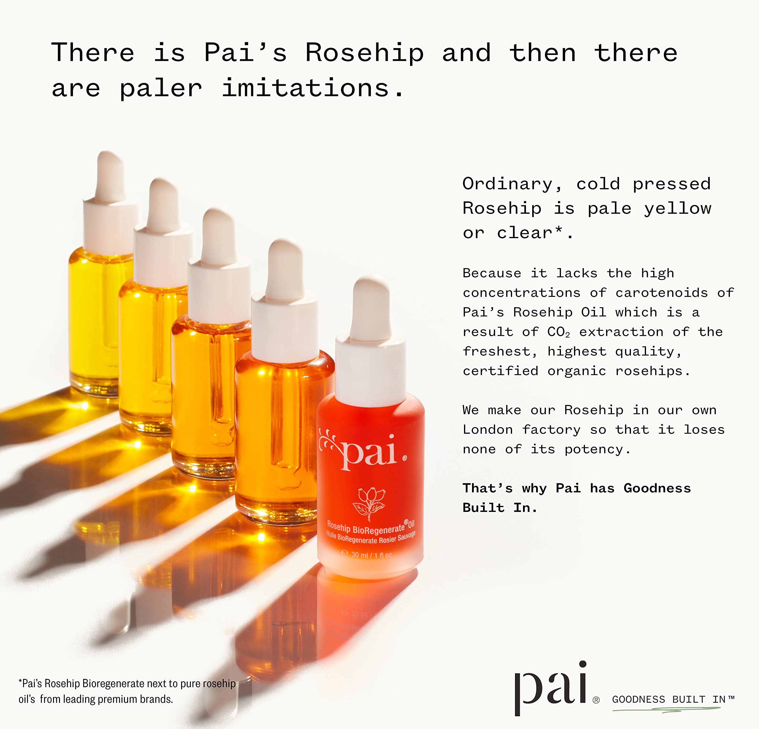 PAI SKINCARE Rosehip fruit seeds highlighted for omega-rich nourishment.