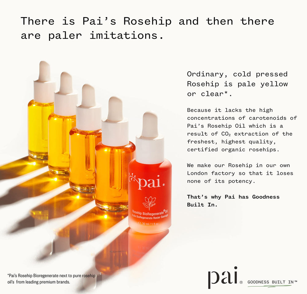 PAI SKINCARE Rosehip fruit seeds highlighted for omega-rich nourishment.