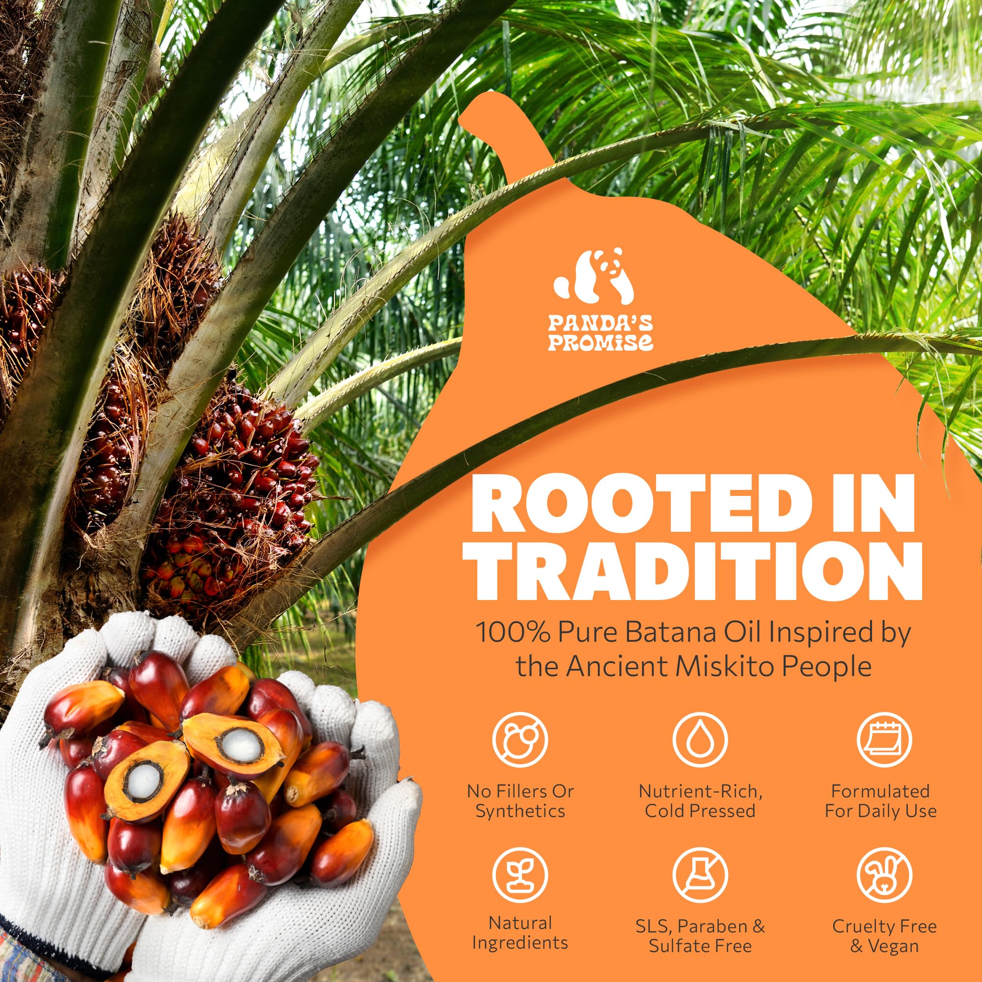 Panda's Promise Batana Oil scalp massage scene nourishing roots and improved manageability