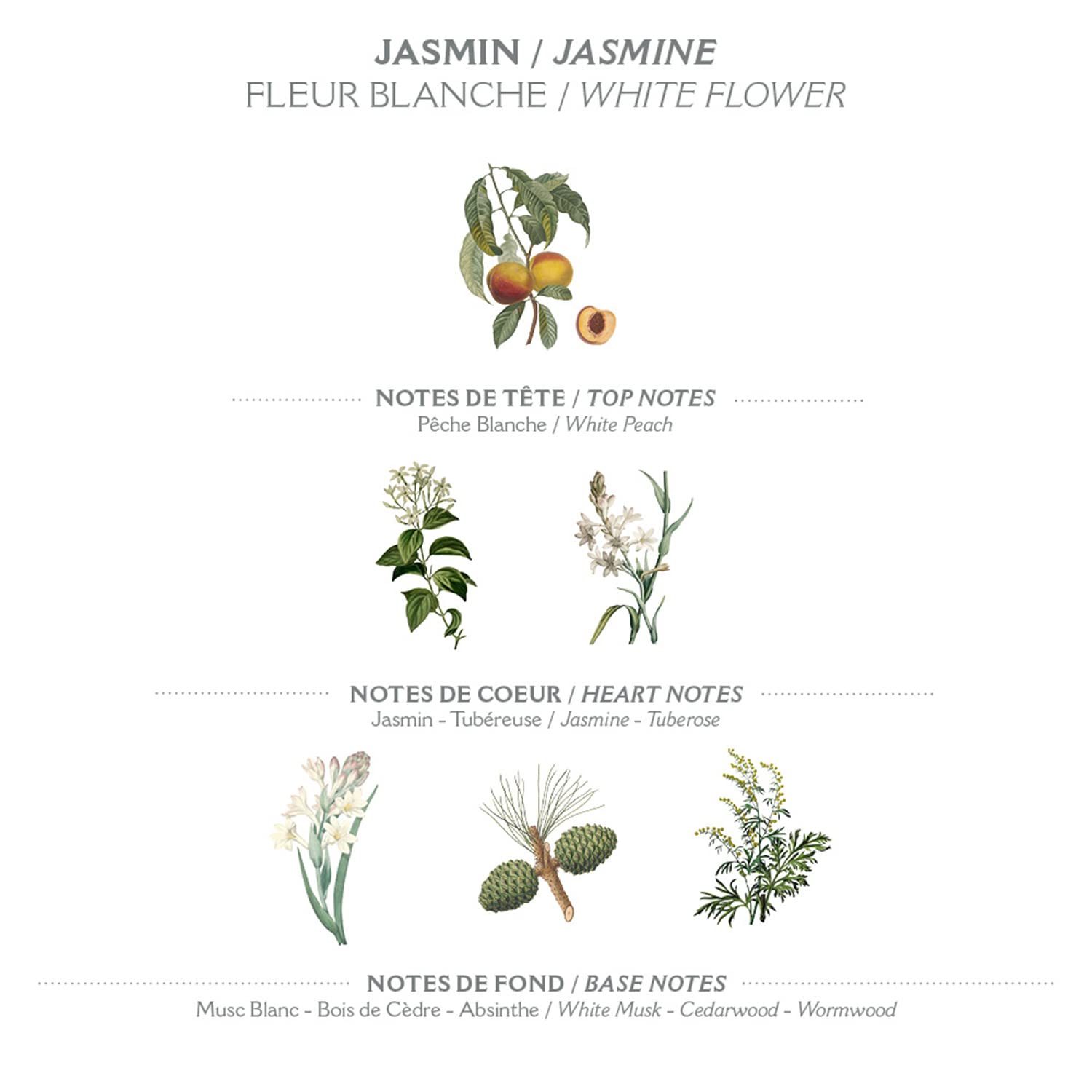Panier des Sens Jasmin Hand Cream applying on hand demonstrates smooth coverage