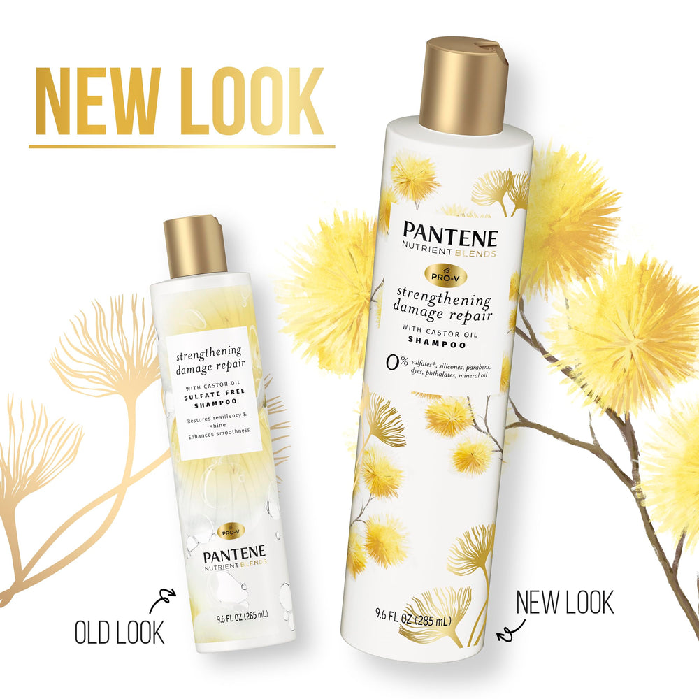Pantene 9.6 oz bottle for daily maintenance