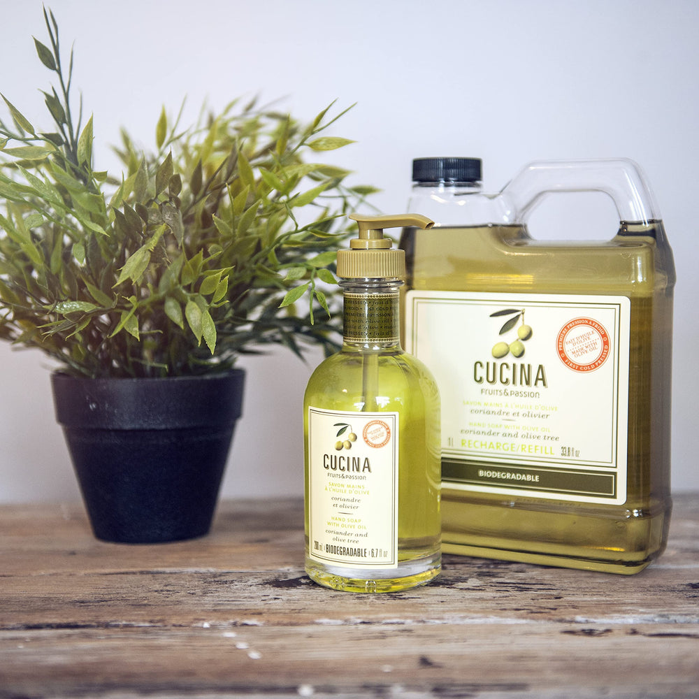 PANZERR Cucina coriander-olive-tree aroma swirl suggests sweet-spicy fragrance