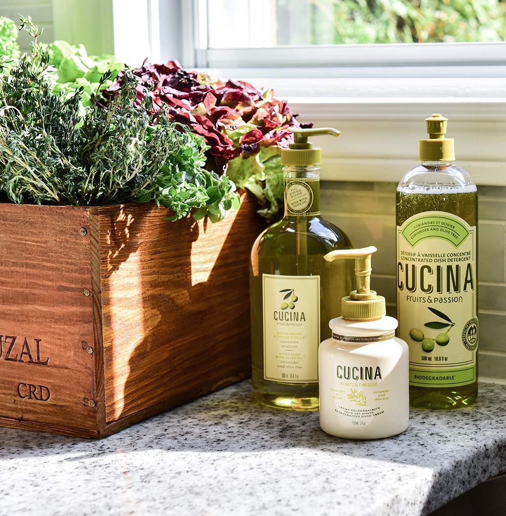 PANZERR Cucina coriander-olive-tree counter display creates inviting kitchen vibe