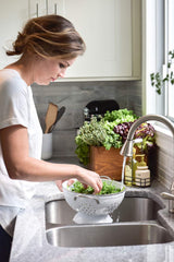 PANZERR Cucina coriander-olive-tree label closeup showing premium ingredients for kitchen luxury