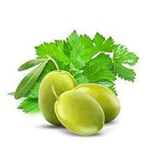 PANZERR Cucina coriander-olive-tree poured into hands showcasing moisturizing feel