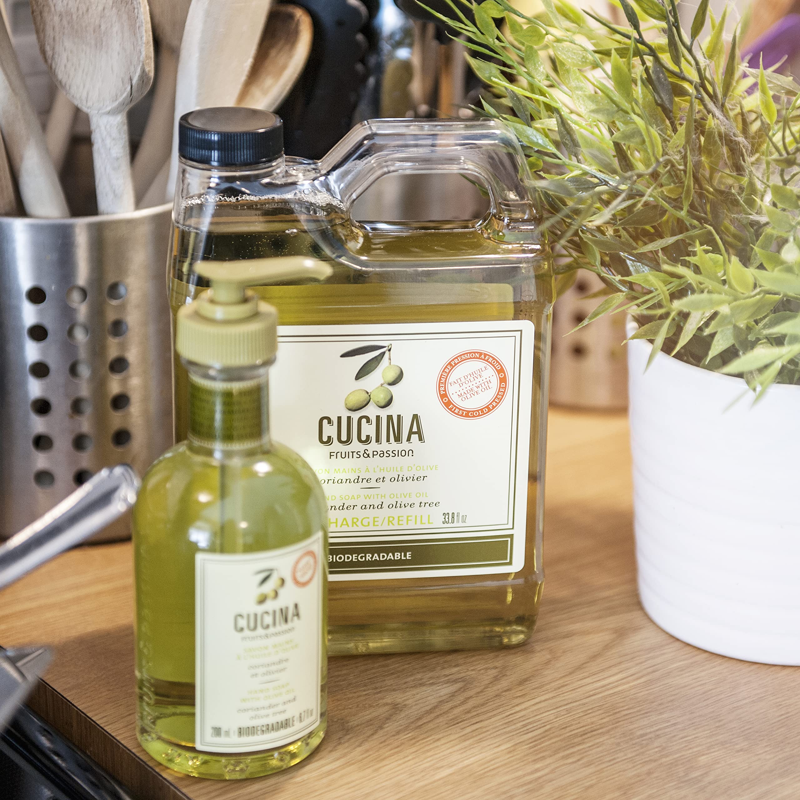 PANZERR Cucina coriander-olive-tree recyclable packaging emphasizes sustainability