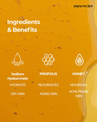 Papa Recipe Bombee Honey Mask Pack honey extract visual signals natural moisture infusion.