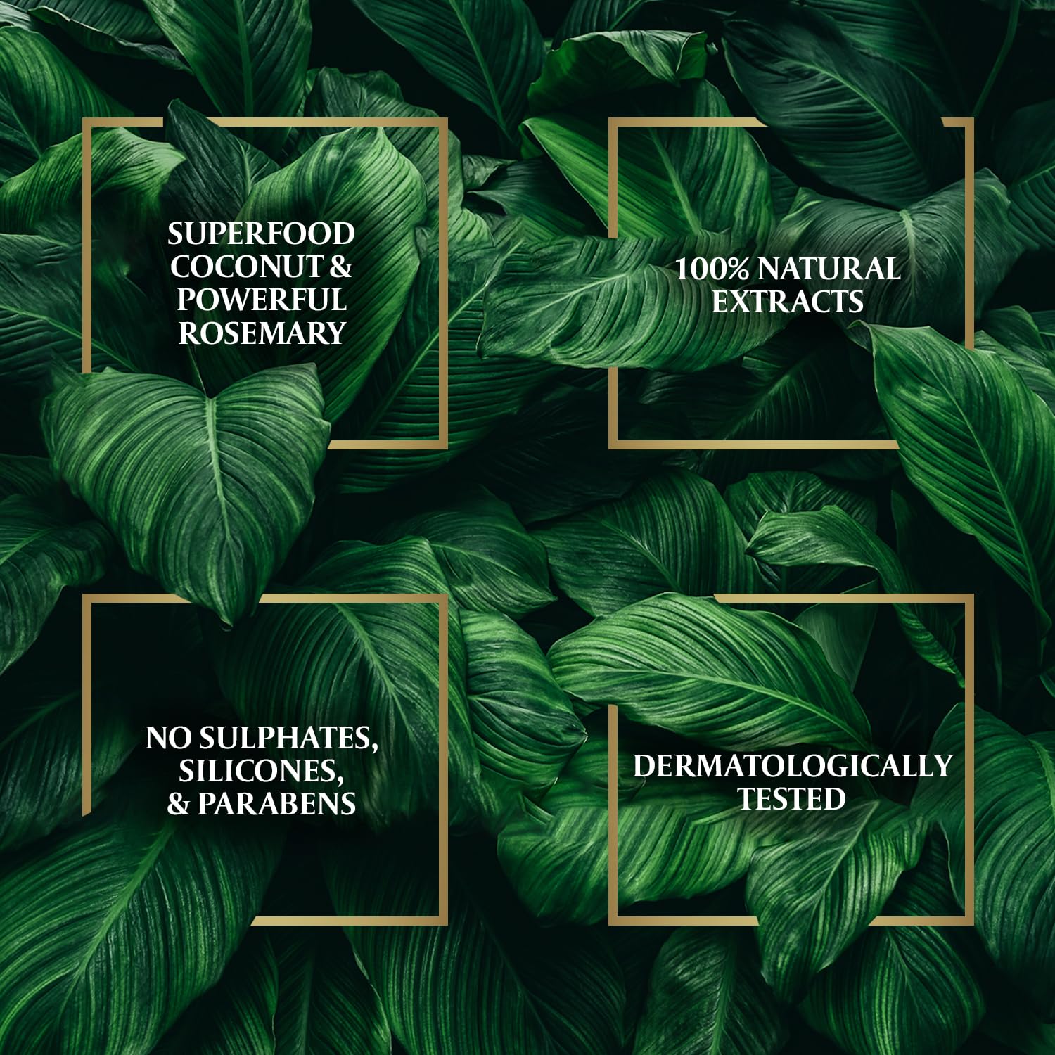 Parachute Advansed Rosemary Hair Oil coconut-ingredients close-up highlights natural nourishment.