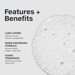 Paul Mitchell Awapuhi Shampoo close-up on cleansed bright strands.