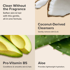 Paula's Choice All Over Hair and Body Shampoo lather demonstrates gentle cleansing.