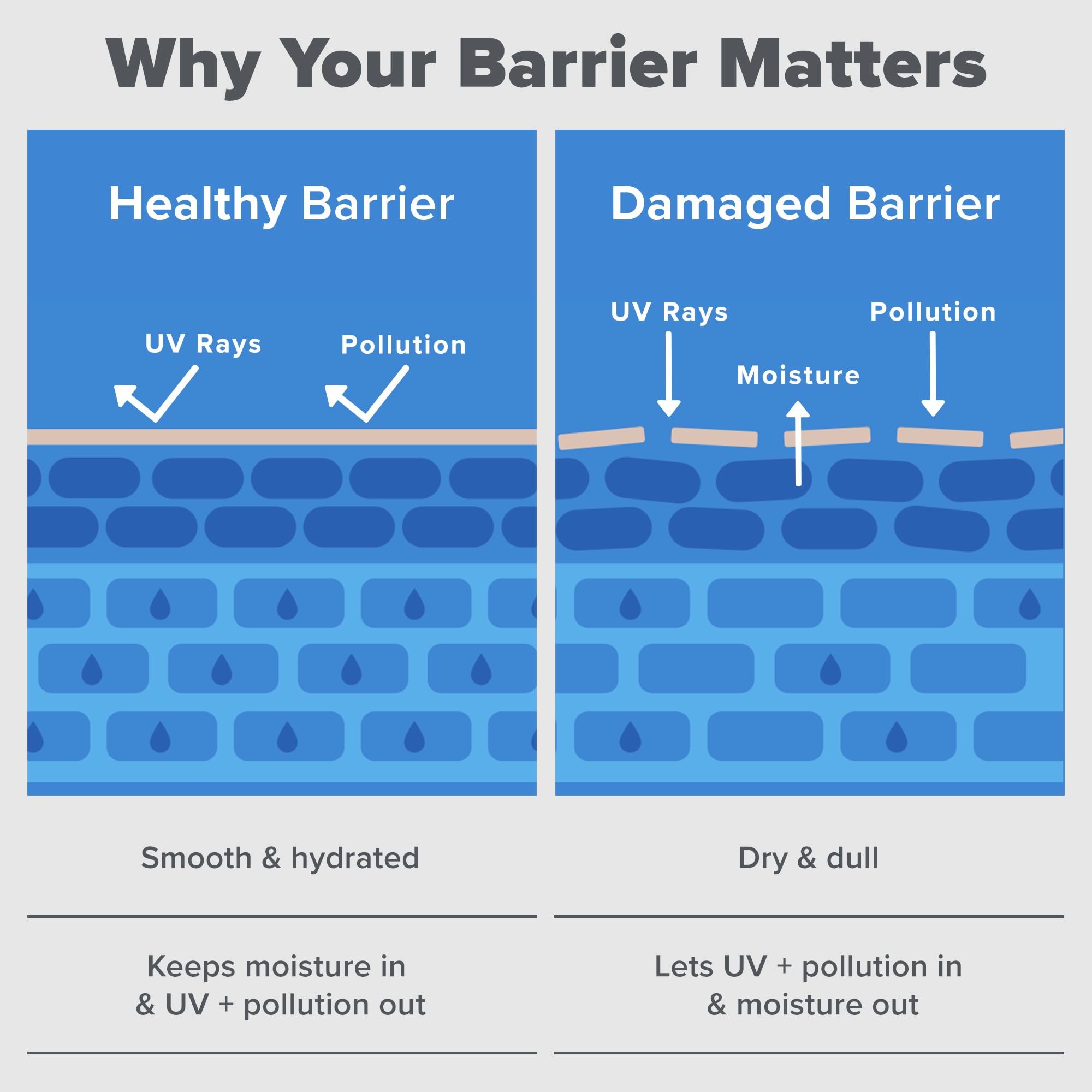 Paula's Choice RESIST Barrier Repair hydration within 30 minutes closeup