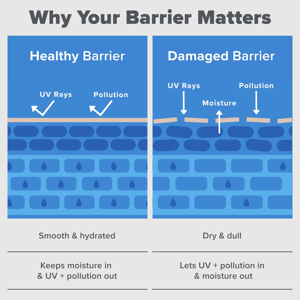 Paula's Choice RESIST Barrier Repair hydration within 30 minutes closeup