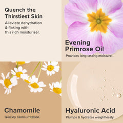 Paula's Choice Skin Recovery hyaluronic-acid illustration communicates deep hydration benefits.