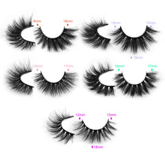 Pawotence portable glitter lash cases keep lashes organized and travel-ready