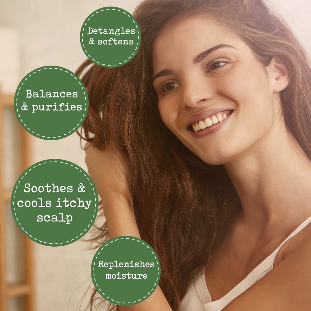 PHARM TO TABLE leave-in conditioner tea-tree scalp care focus on soothing relief