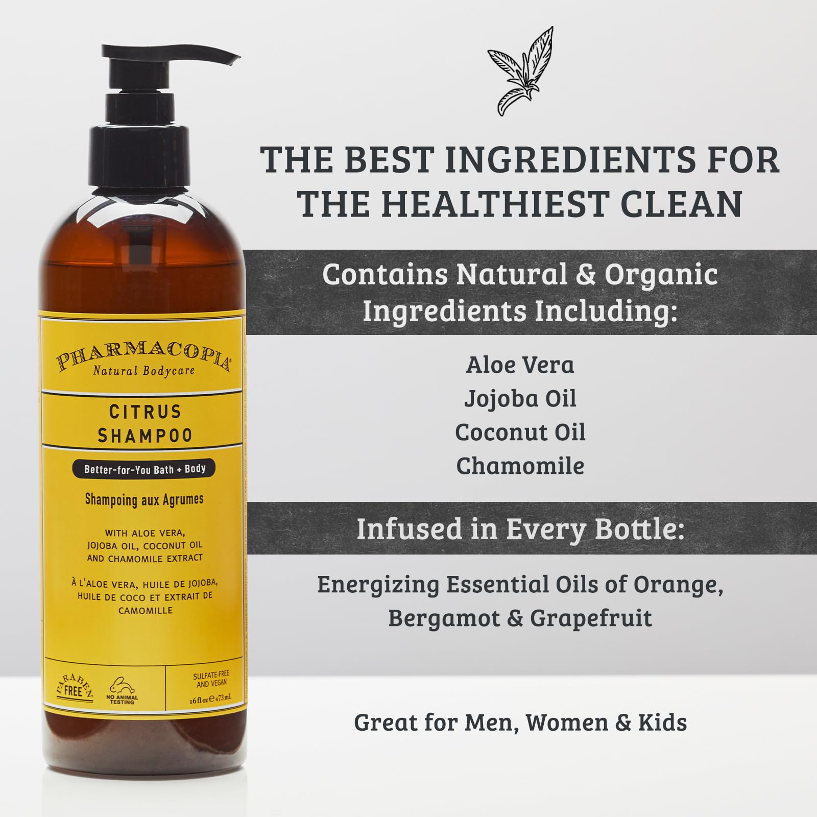 Pharmacopia Citrus Shampoo ingredients aloe-jojoba highlight hydration for hair.