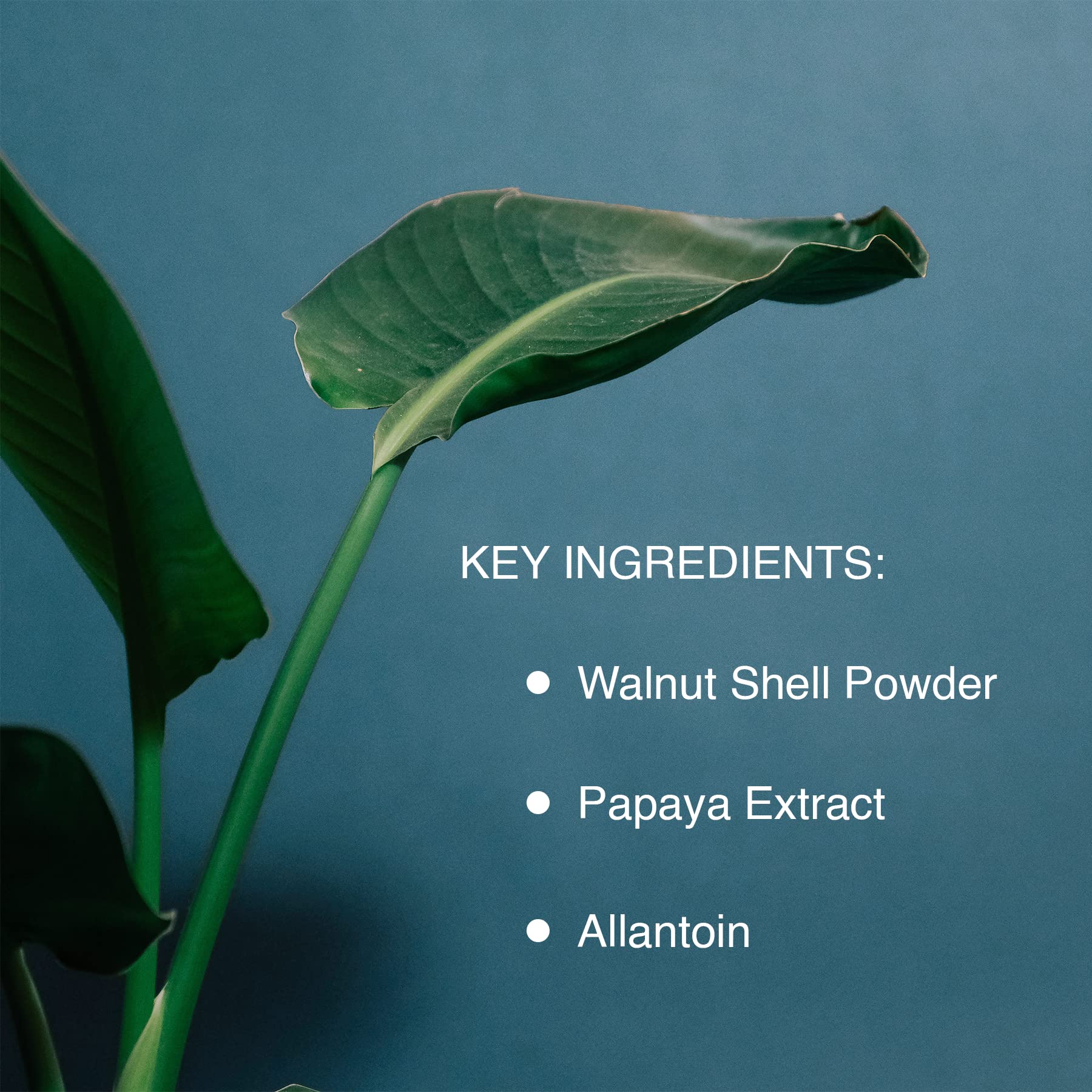 Pharmagel Enzyme Ex-Cell multi-use concept image for face and body