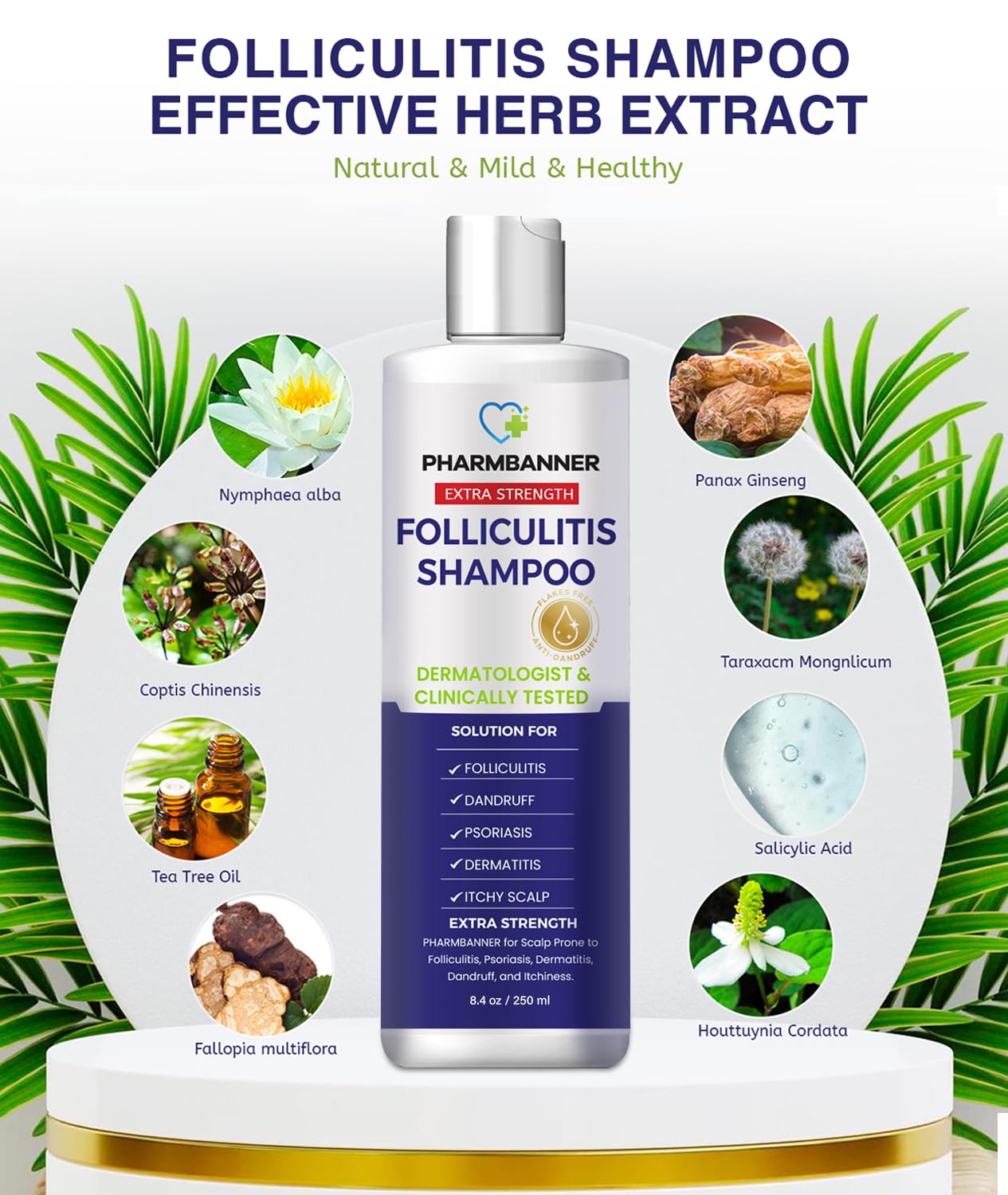 PHARMBANNER Anti-Fungal Shampoo back label highlights ingredients and usage tips