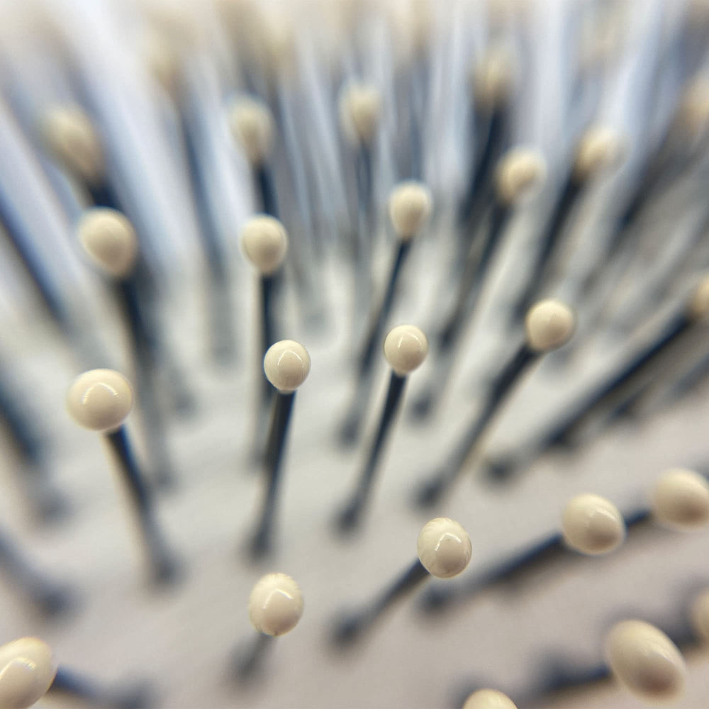 Phillips Brush Co eight-and-a-half-inch oval brush ideal for professional use.