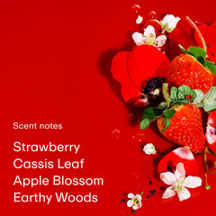 PHLUR Strawberry Letter packaging box, gift-ready presentation.
