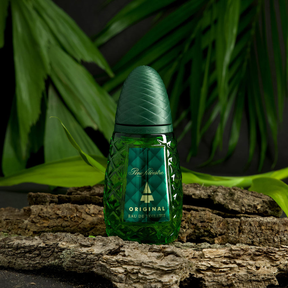 Pino Silvestre Original fragrance-notes-portrait highlights pine and citrus elements for focus.