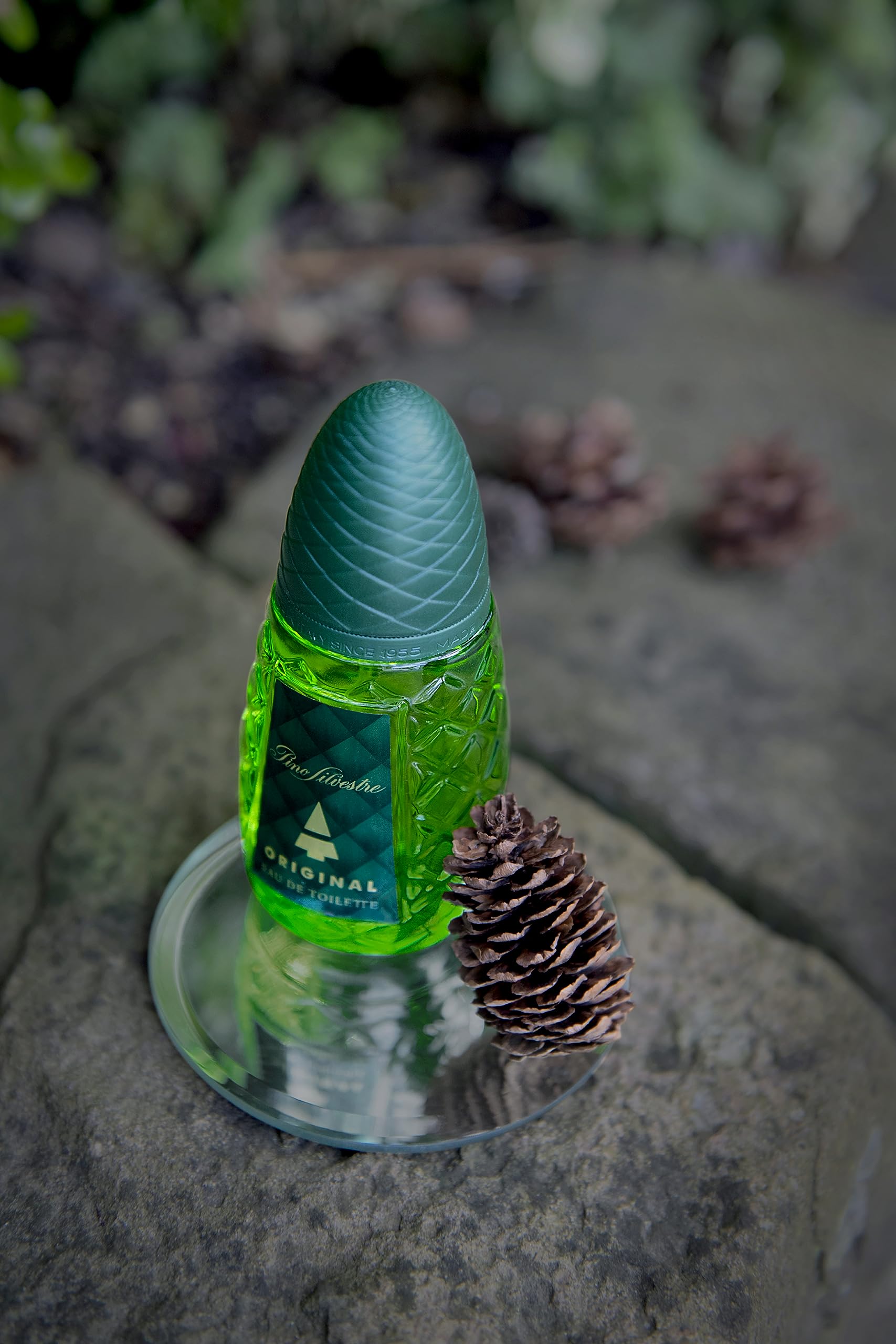 Pino Silvestre Original ingredients-note emphasizes basil, clary sage, tonka bean allure.